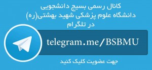 telegram-theme copy
